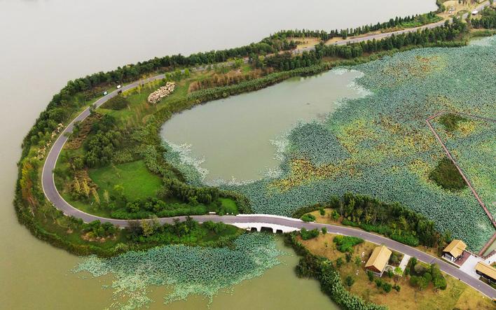扬州北湖国家湿地公园秋景如画