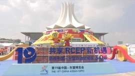 第十九届中国—东盟博览会在南宁开幕