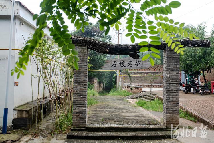 邯鄲康莊：樂享田園好時光