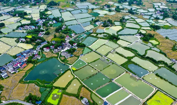 重慶市梁平區在全國率先推廣“鄉村小微濕地+”_fororder_圖片1