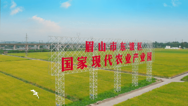 永远丰收！眉山东坡“庆丰收”原创MV上线_fororder_4