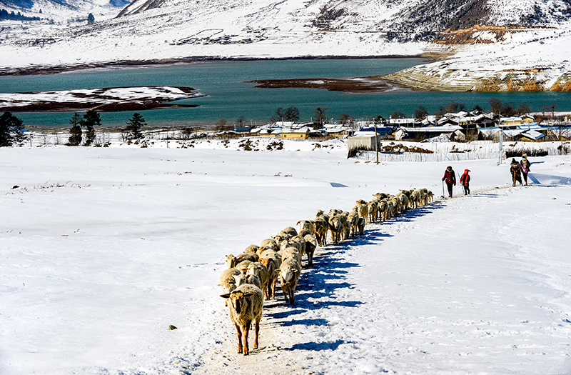 镜头下的大凉山｜凉山州成立70周年县市风采——冕宁县_fororder_冕宁气候宜居，旅游资源丰富，图为省级自然保护区冶勒冬日美景。丁冬华摄