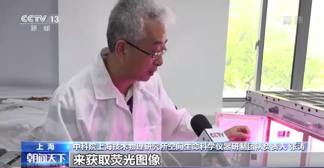 问天舱应用任务进展顺利 植物生长良好