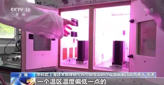 问天舱应用任务进展顺利 植物生长良好