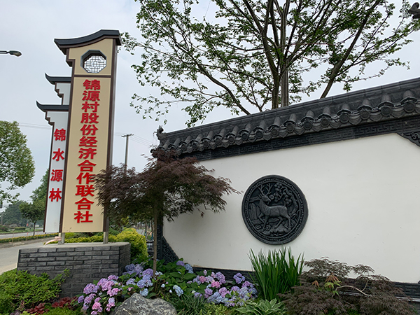 成都新都区锦源村：党建引领产业发展 农旅融合赋能乡村振兴_fororder_新成立的锦源村股份经济合作联合社