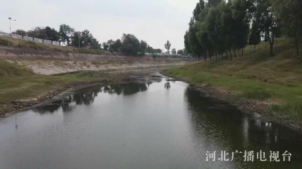 大運河滄州段的水工智慧、文化遺存驚艷世人