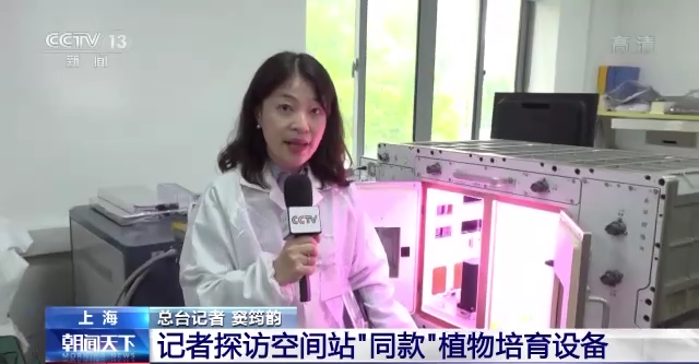问天舱应用任务进展顺利 植物生长良好