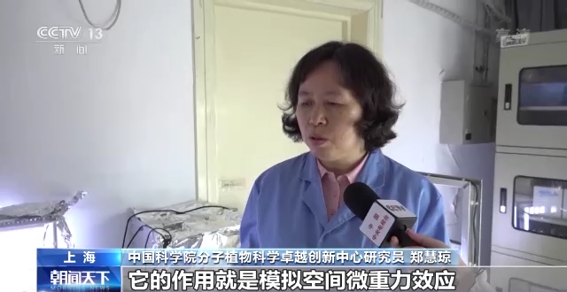 问天舱应用任务进展顺利 植物生长良好