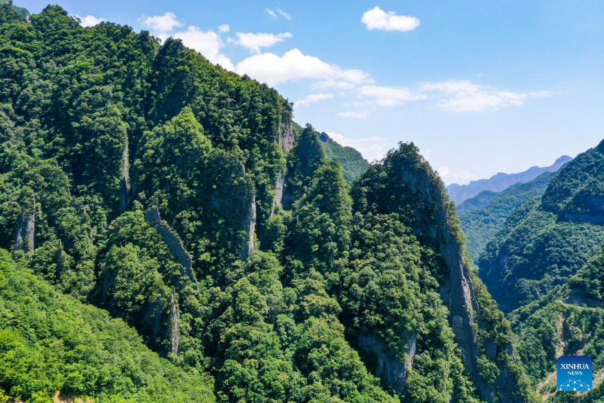 View of Chongqing Wulipo National Nature Reserve in Wushan County, Chongqing_fororder_图片14