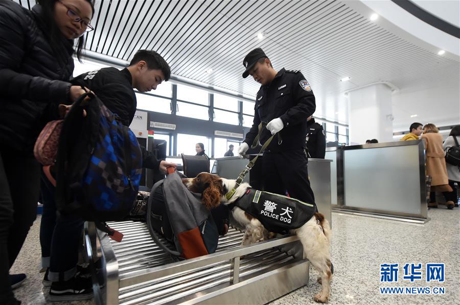 【焦點圖】重慶：警犬助陣保平安