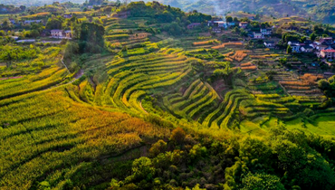 Scenery of Shiping Village in Chongqing, SW China_fororder_1