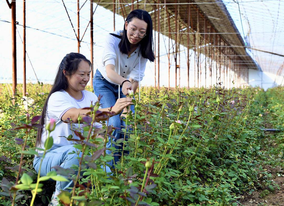 朝阳：凌源宫家烧锅村入选中国美丽休闲乡村