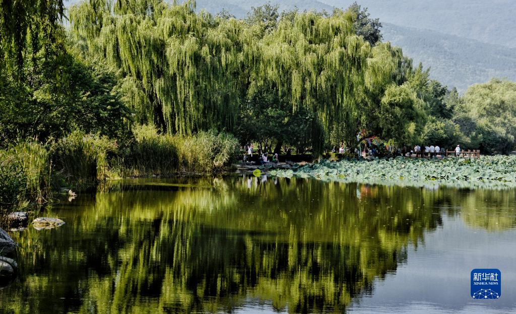 秋日畅游北京植物园