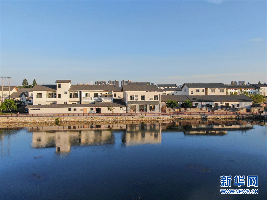 武汉东西湖：美丽乡村吸引能人返乡创业