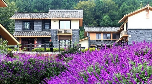 农民丰收节全国主会场选址成都 公园城市农业农村现代化新颜焕发_fororder_美丽乡村-供图-金堂县委宣传部