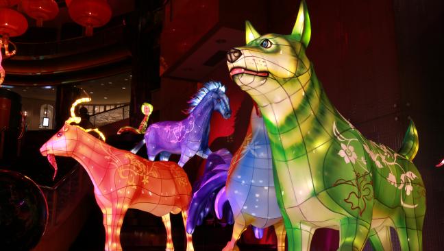 澳大利亞為慶祝中國農曆新年，在街景佈置的十二生肖動物展_fororder_0ea56fe03c59baccd8acf1bc4250c796