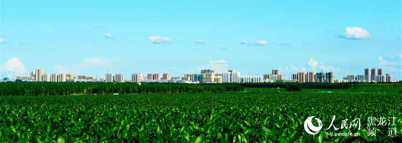 【云游龙江】这里是绥化