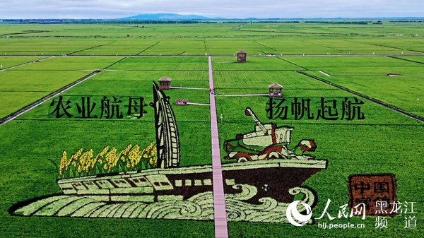 富錦：綠色鋪就生態糧都發展底色