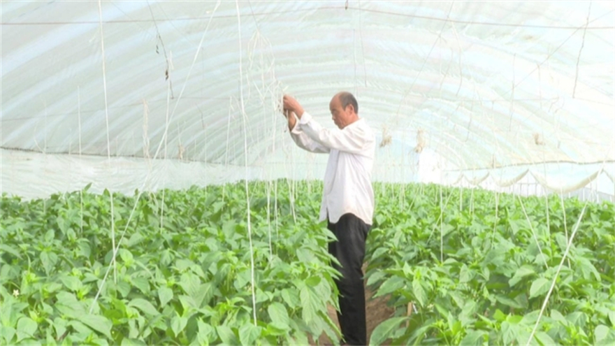 榆林市府谷县新民镇：乡村振兴“结硕果” 产业兴旺“后劲足”_fororder_微信图片_20220927112914