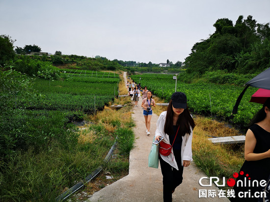 （急稿）【CRI专稿 列表】奋进的重庆铜梁： “奔跑”在希望的田野上