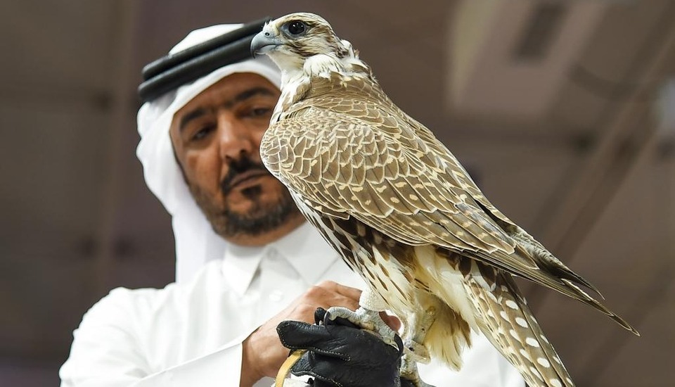 卡達舉辦第六屆國際狩獵和獵鷹展