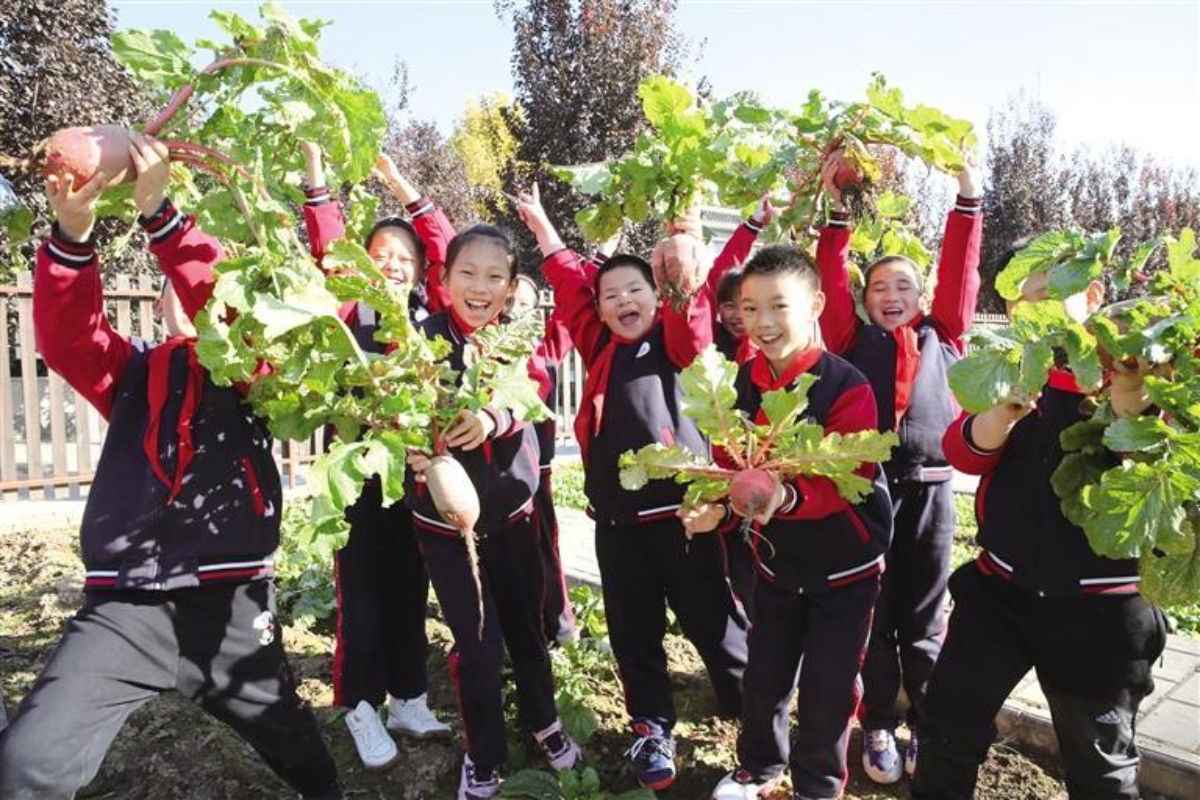 持续打造优质均衡教育新高地——西安市碑林教育交出亮眼“新答卷”