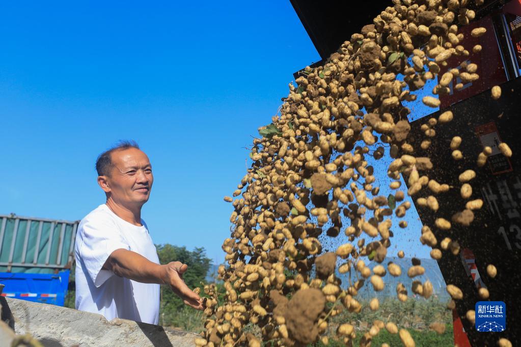 全国各地秋收忙_fororder_7