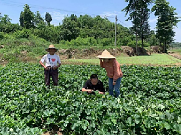 我在乡村挺好的 | “小跟班”的驻村日记——厦大毕业生、罗江区驻村选调生刘春滟的成长之路_fororder_QQ图片20220907100835