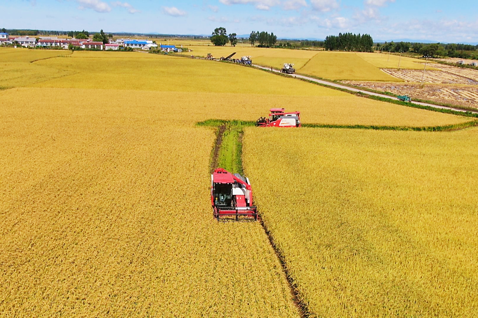 一路飆升!“延壽大米”品牌價值首次突破百億_fororder_微信圖片_20220907110635