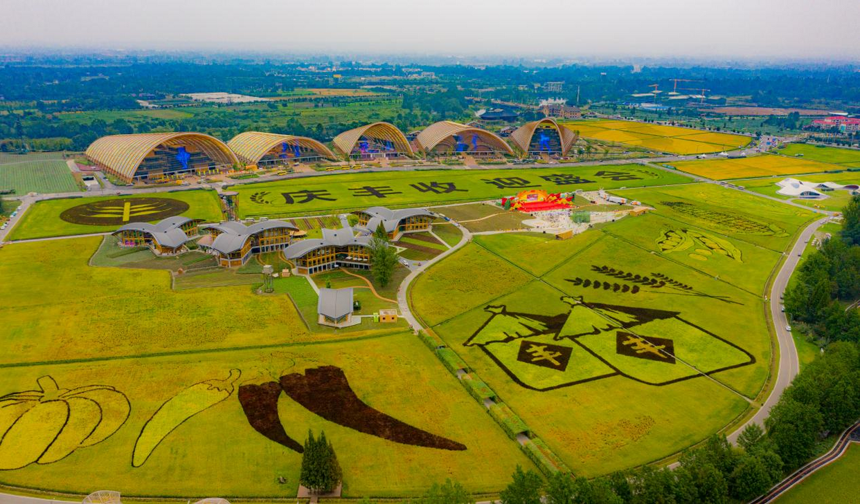 The Main Venue of the 2022 China Farmers Harvest Festival Kicks off in Chengdu, Sichuan_fororder_图片 5