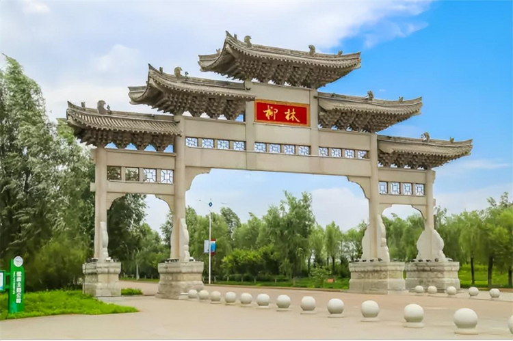 陕西柳林酒：千年古法技艺永传承 五载精工慢酿出好酒_fororder_222