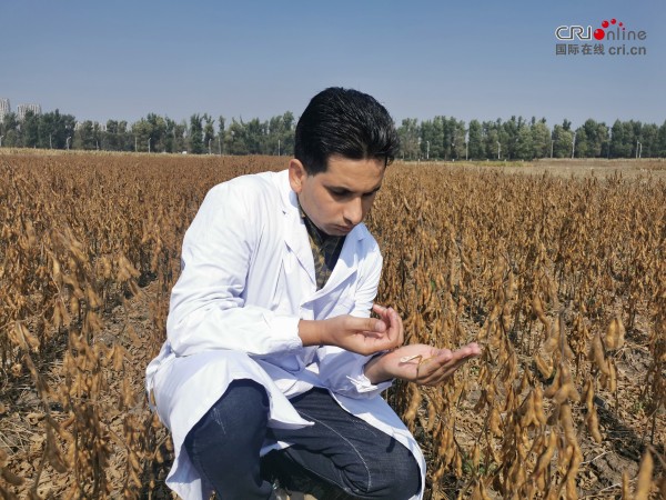 我在吉林这十年 | 巴基斯坦博士阿迪：在吉林，培育影响世界的大豆良种_fororder_微信图片_20220929145857