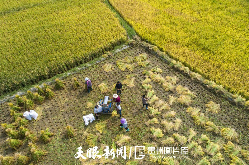 贵州大地五彩“丰”景