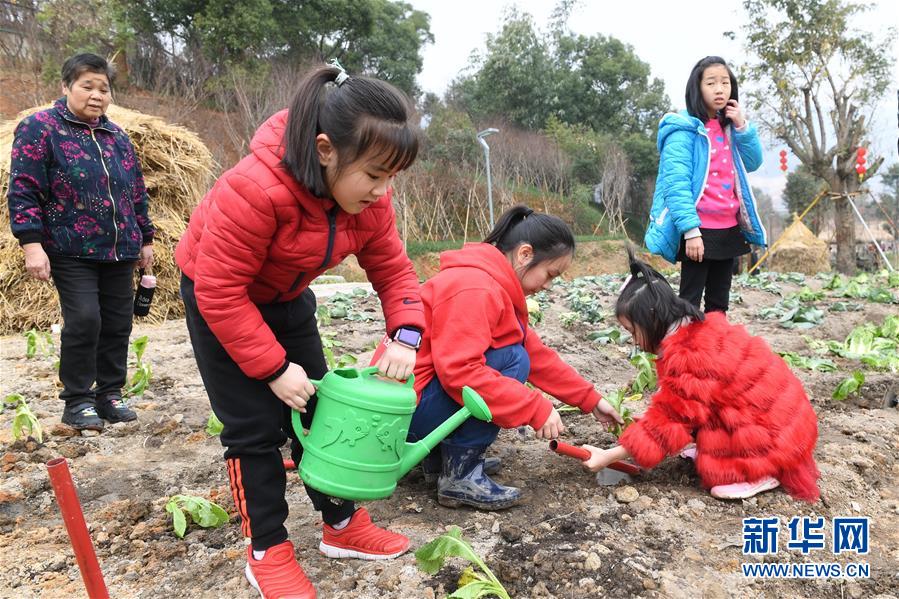 福州12座生态公园同时开园