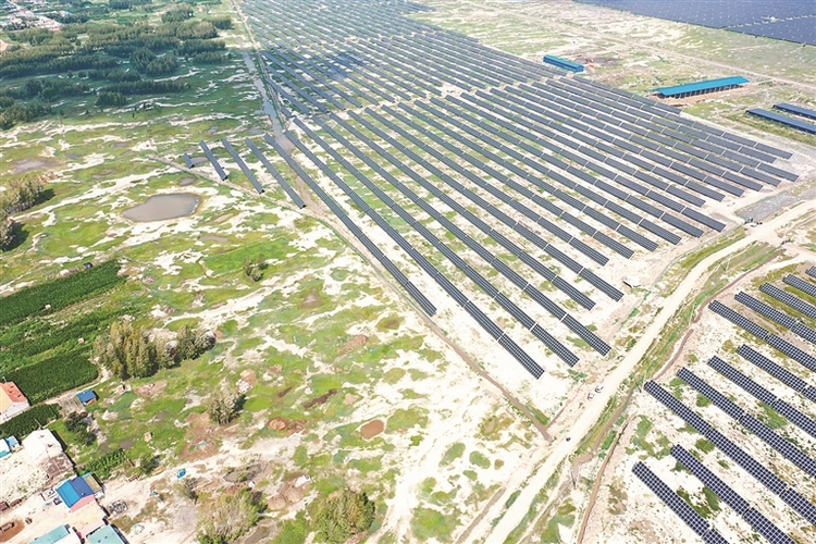 绥化市安达：新能源产业汇成蓝海洋