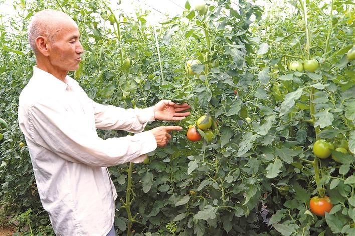 圖片默認標題_fororder_14