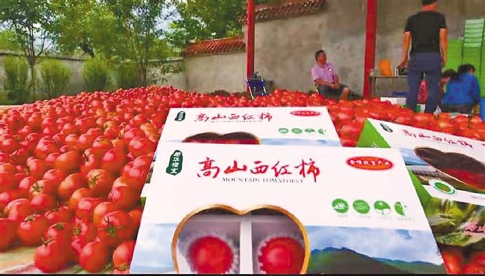 圖片默認標題_fororder_13