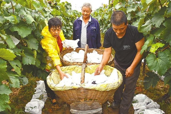 圖片默認標題_fororder_15