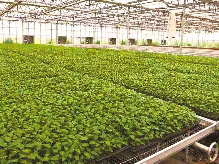 圖片默認標題_fororder_16