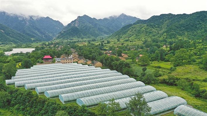 圖片默認標題_fororder_11