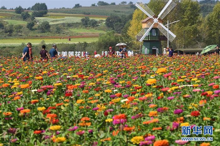 图片默认标题_fororder_CqgNOl1wbOOAHIl7AAAAAAAAAAA275.899x598