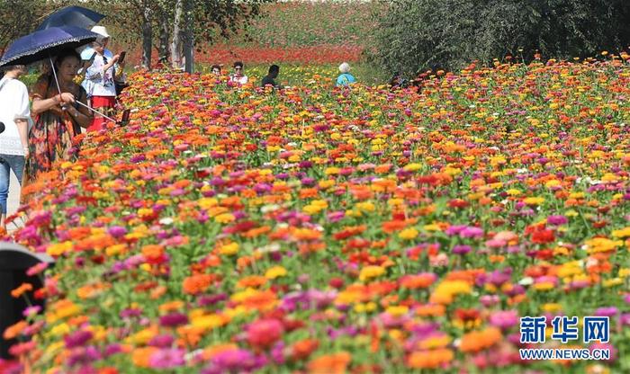 图片默认标题_fororder_CqgNOl1wbOSATZPYAAAAAAAAAAA293.899x534