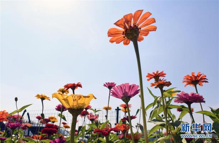 图片默认标题_fororder_CqgNOl1wbOOAWkDeAAAAAAAAAAA106.899x586