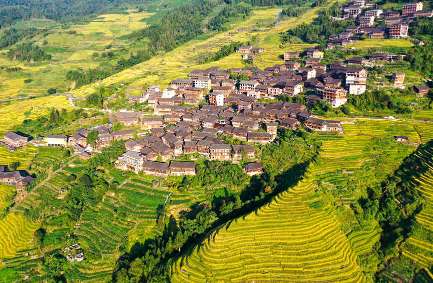 广西龙胜：梯田秋色扮美乡村