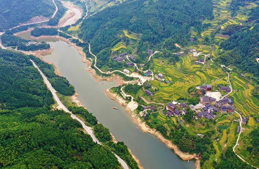 广西融水：苗山深处沃野生金