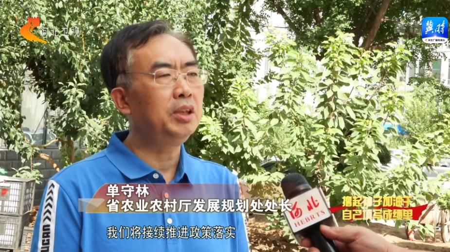 河北：惠农政策渐次发力 激发农业发展动力