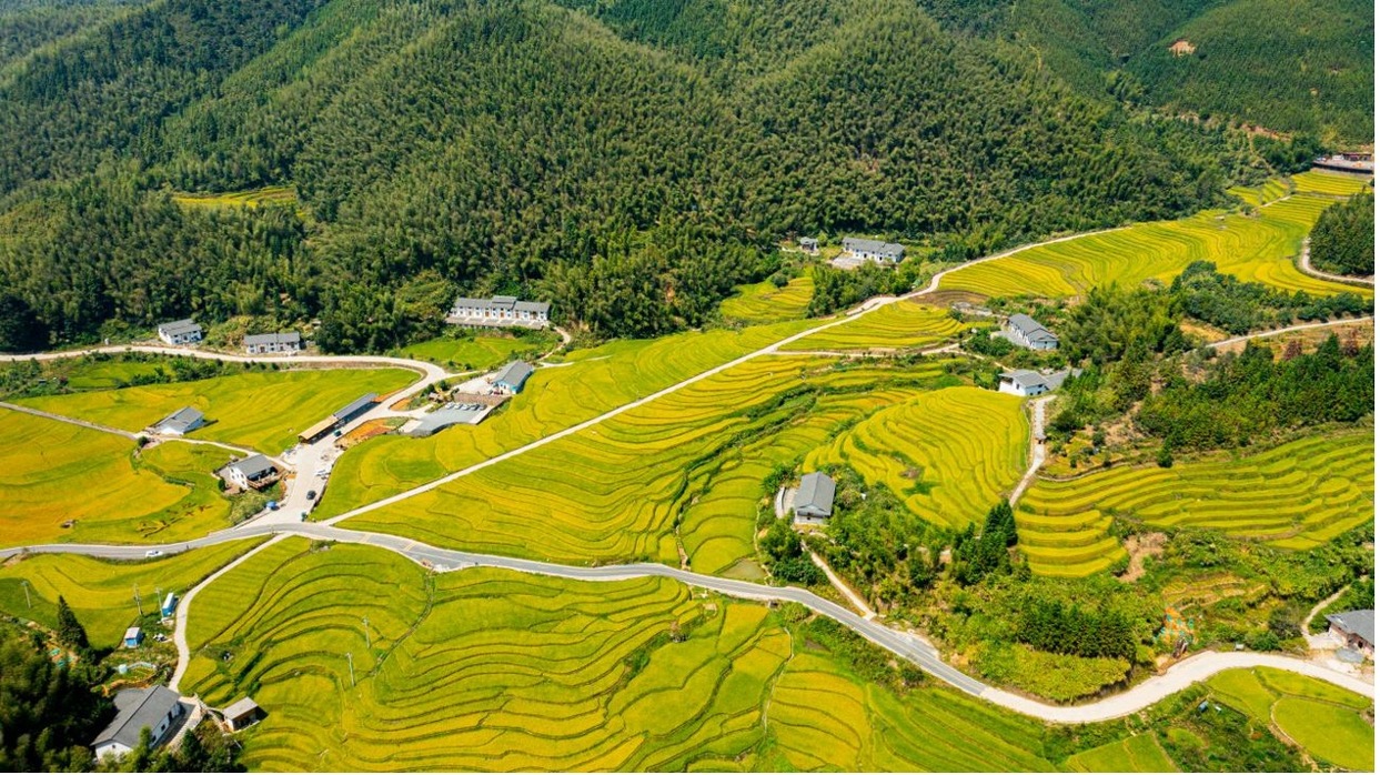 Jiangxi Shangbao Terraces Selected as World Heritage Irrigation Structure