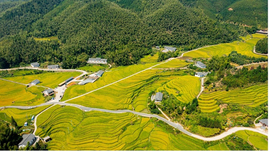 Jiangxi Shangbao Terraces Selected as World Heritage Irrigation Structure_fororder_01
