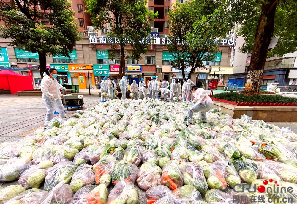 “爱心蔬菜包”送进贵阳花果园