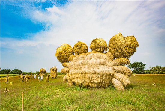 苏州相城打造特色田园乡村 留住舌尖上的乡愁_fororder_12